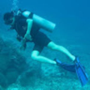 Meet your Posher, Ellen